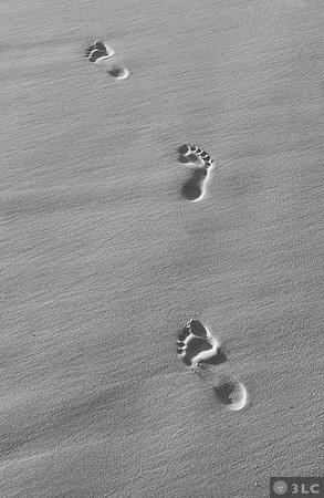 Footprints